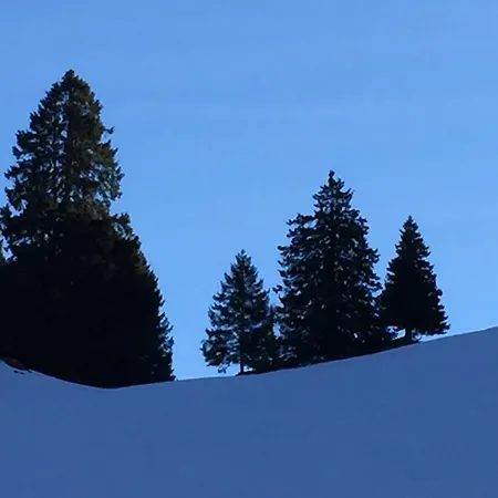 Schipplegg アパート *