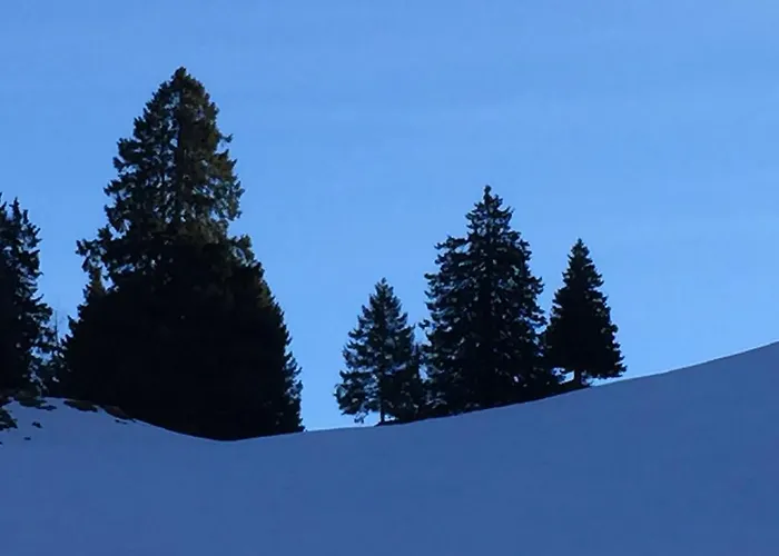 Schipplegg Apartmán *